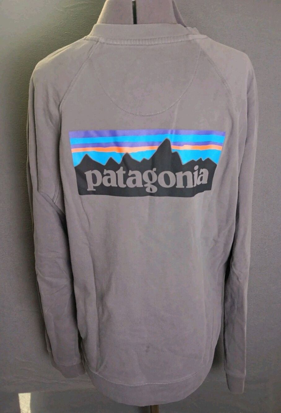 Patagonia P-6 logo lightweight crew sweatshirt Men's M Organic Logo 39603 KE10